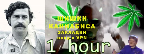 прущая мука Нея