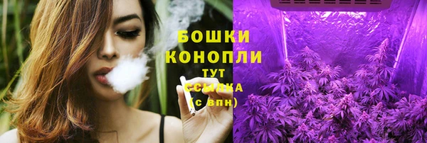 apvp Белокуриха