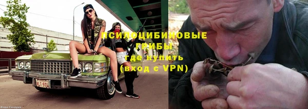 дурь Нефтекумск